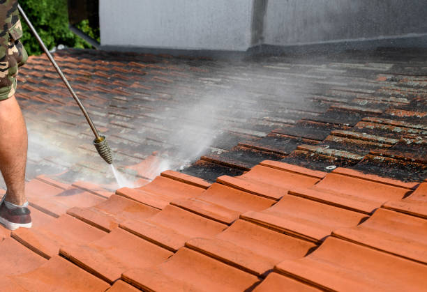 Best Exterior Home Cleaning  in Goodrich, MI