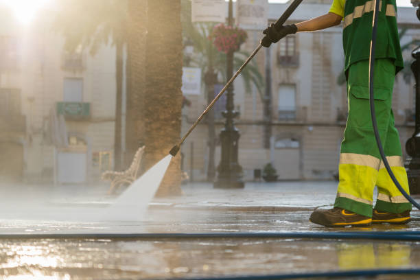 Best Power Washing Near Me  in Goodrich, MI