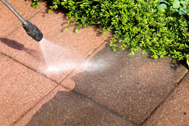 Best Concrete Pressure Washing  in Goodrich, MI